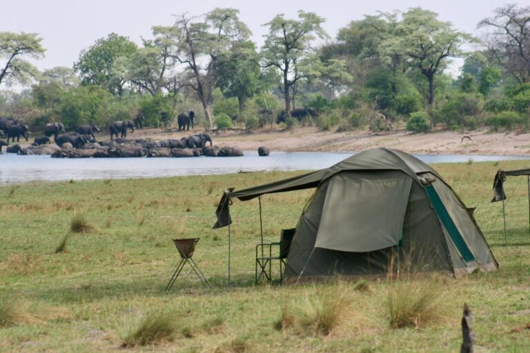 expedition-angola-luengue-luiana-campsite-elephants-angola-uncharted-safaris